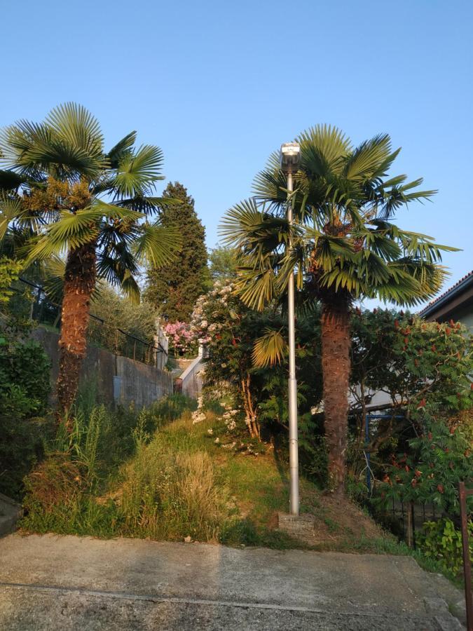 Accomodation Pertout Νόβα Γκόριτσα Εξωτερικό φωτογραφία